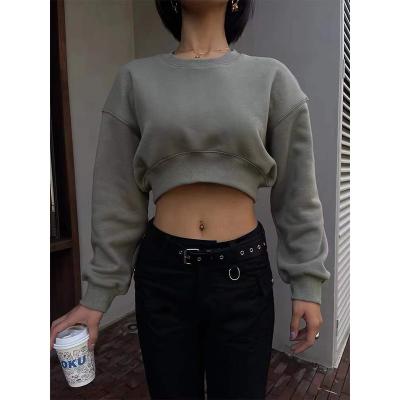 China wholesale Anti-wrinkle newcomer crop sweatshirt women plus size womens hoodies and crewneck sweatshirt women for sale