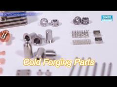 OEM Customized Brass Forged Parts Cold Forging Machining Service