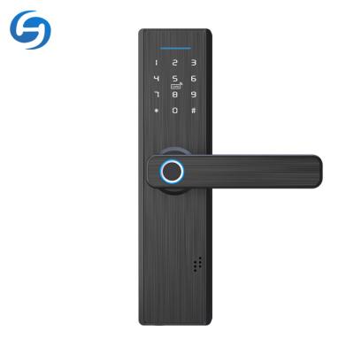 China Huiyou Smart Home Office Entry Biometric Fingerprint Aluminum Keyless Wi-Fi Digital Smart Electronic Door Lock for sale