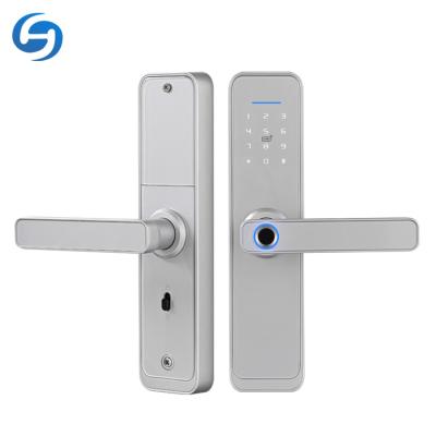 China Huiyou office entrance keyless phone tuya X2 remote control outdoor smart door lock with mechanical keys for sale