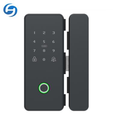 China Huiyou office hot sale G200 fingerprint door lock wifi tuya or ttlock biometric glass smart control for sale