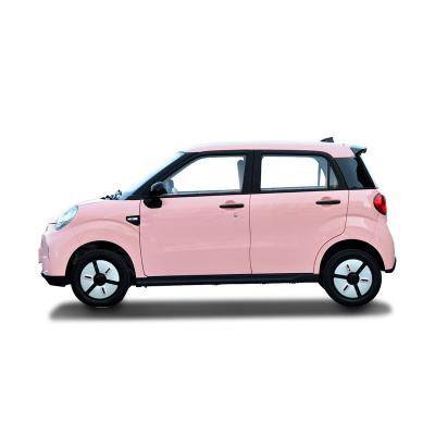 China New Product Rechargeable Adult High Speed ​​Electric Vehicles 101km/h ev Pure Cars 19.1 for sale