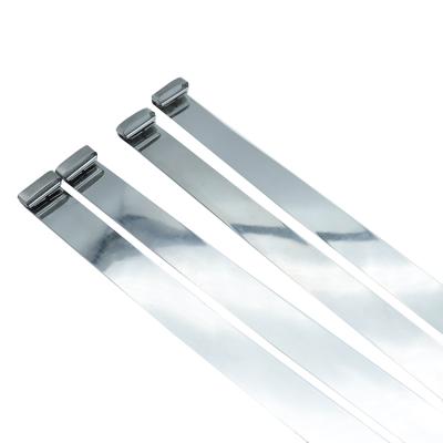 China Steel laser cutting 304 stainless steel metal stainless steel burr inlay ss316 top cable tie for sale for sale