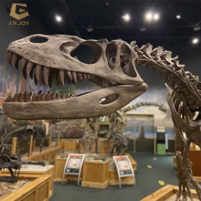 China SGSR03 Museum Mounted Dinosaur Skeleton Decoration Real Skeleton Dino Model for sale