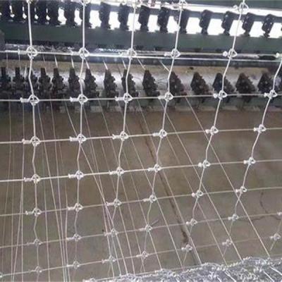 China Mesh Fence Anping Tailong 2021 Product Sales Field Fences/High Quality And Easy To Install/Farm Fence/Garden Fence for sale