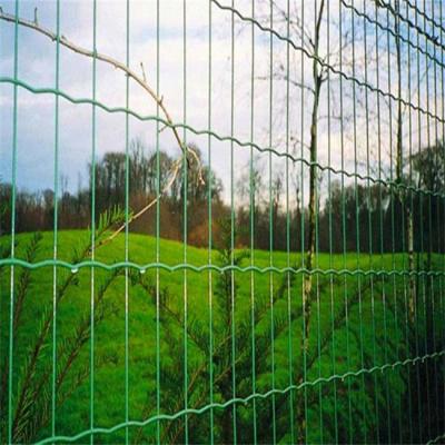 China Dutch Weave Product 2021 Hot Selling Cheapest Holland Welded Wire Mesh Fence /Euro Fence for sale