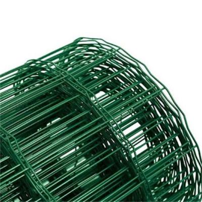 China Dutch Weave Product 2021 Hot Selling Holland Welded Wire Mesh Fence /Euro Fence for sale