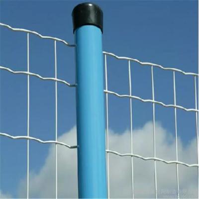 China Dutch Weave Product 2021 PVC Coated Holland Welded Wire Mesh Fence for sale