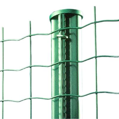 China Dutch Weave Product Type 2021 Euro Fencing or Holland Mesh Netting for sale