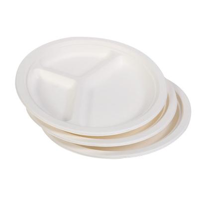 China Thicker Disposable Daily Specials For Party Home Food Containers Disposable Biodegradable for sale