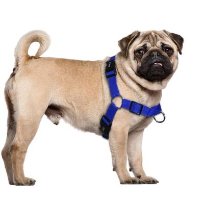 China Lights S-XL No Puls Breathable Nylon Dog Harness No Puls Durable Dog Harness Invest Adjustable For Medium Large Dogs for sale