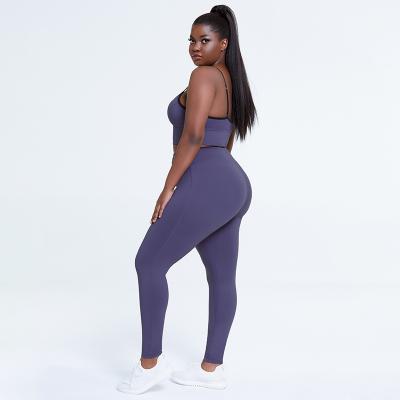 China Purple Sweat-Wicking Color Women Sports Bra Legging Suit Yoga Fitness Set 2021 Plus Size for sale