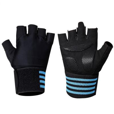 China Half Finger Sports Training Breathable Weightlifting Gloves Cycling Gym Half Finger Gloves for sale