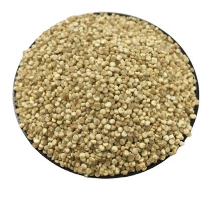 China Smell Factory Price Cereals Wholesale Quinoa Organic Quinoa for sale