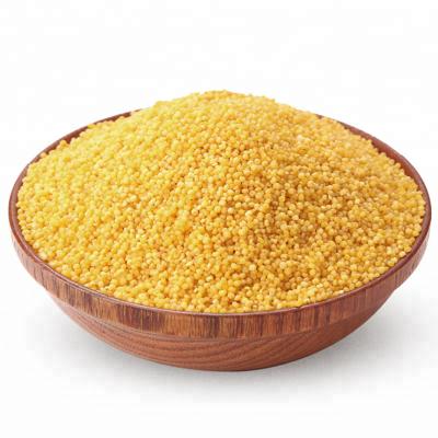 China Wholesale Top Grade Dry Organic Millet Seed Millet For Sale for sale