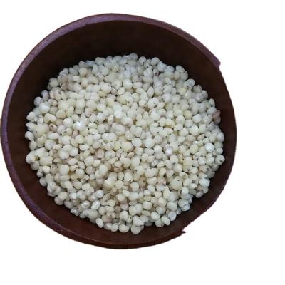 China 2021 Newest Crop Bulk Sorghum Grains Dry White Sorghum For Sale for sale