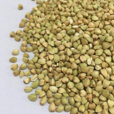 China Dried Chinese Export Grade Hulled Buckwheat Roasted Buckwheat Kernels for sale