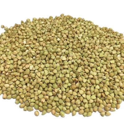 China Bulk Natural Buckwheat 100% Good Non-GMO Dry Buckwheat Price for sale