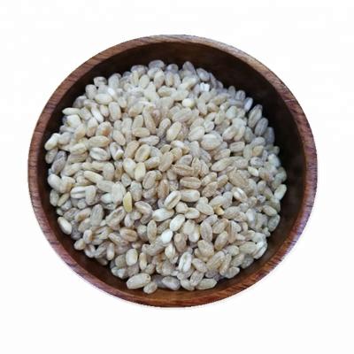 China Natural White Wheat Grain NON-GMO Dried Oragnic Durum Wheat Grains for sale