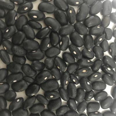 China Chinese Organic Black Kidney Bean Dried Black Bean Price for sale