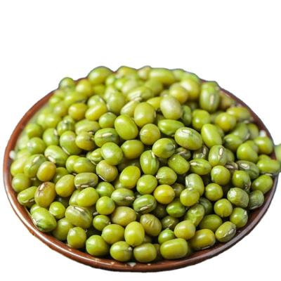 China Dried Grade 5A Myanmar Green Mung Beans Sprouted Mung Beans Green for sale