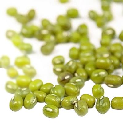 China Uzbekistan mung bean seeds dry green organic mung beans for sale