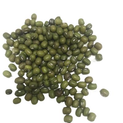 China Myanmar Green Mung Bean Seeds Organic Dry Mung Beans Mung Beans for sale