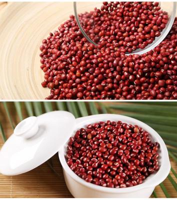 China Factory Price Chinese Organic Dried Azuki Adzuki Beans For Sale for sale