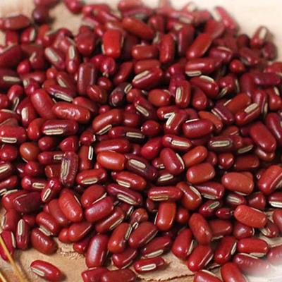 China Best Price Dried Red Bamboo Soybean Bean Dried Beans Price for sale