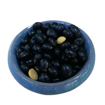 China Small high quality nongmo black soybeans 100% natural nutritional black soybeans for sale