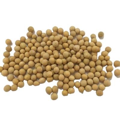 China Non GMO Dry Yellow Soybeans Human Food Beans For Sale for sale