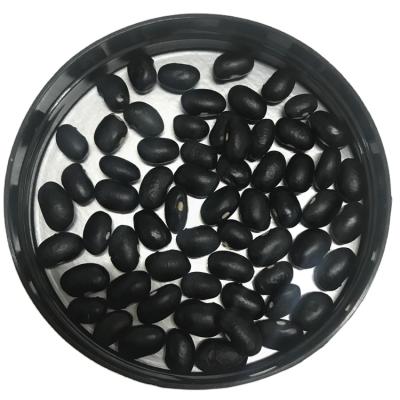 China High Quality Black Dwarf Bean Dried Soy Beans Price for sale