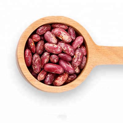 China China Dried Beans Dried Kidney Bean Red Spotted Kidney Beans Canned for sale