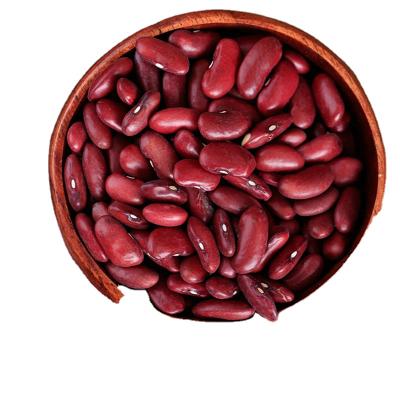 China Factory Price Dry Hot Sale Dried Dark Red Kidney Bean Wholesale Price For Export for sale