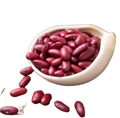 China High Nutritional Chinese Factory Price Canned Red Beans Sugar Red Spotted Beans for sale