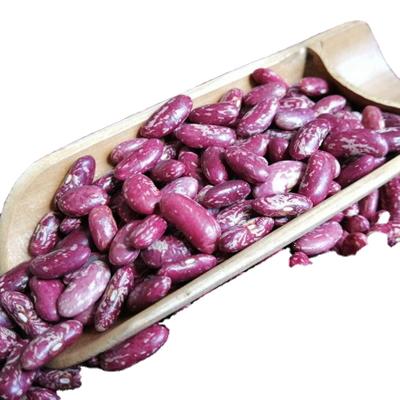 China New crop bena dry soy bean dry purple spotted dwarf bean price for sale