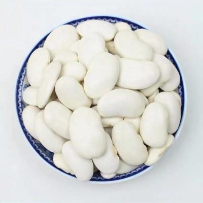 China Wholesale Dried Kidney Beans White Bean Supplier Dried Beans Extract for sale