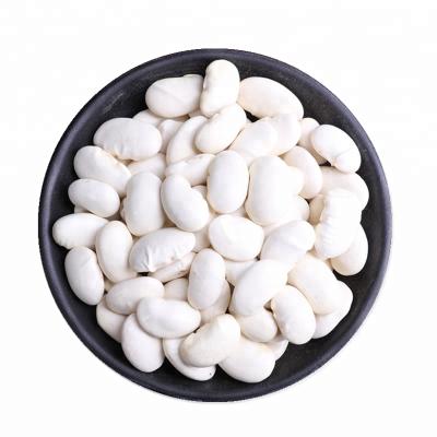 China Factory Price Wholesale Dried Non-GMO White Kidney Beans For Export for sale