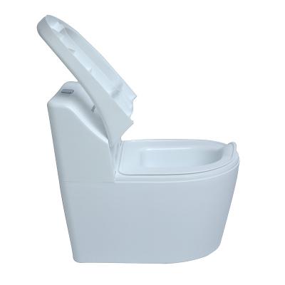 China infant potty Kids size toilet with flush sound Flushing training seat chair for children for sell for sale