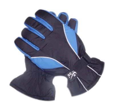 China Ski Gloves 2019 hot sale windproof promotion hottest men's enthusiast for sale