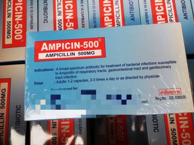 Chine L'ampicilline capsule 250MG 500MG BP/médecines pénicillines d'USP à vendre