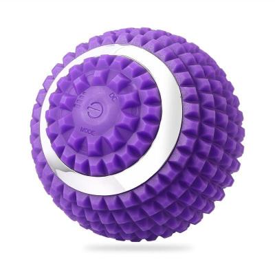 China Fitness Exercise Vertiball Muscle Massager Fascia Mountable Ball For Body for sale