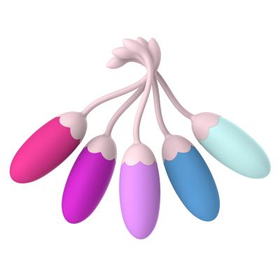 China Real Touch Feeling Wholesale 5 Pieces Innovative Balls Kit Fully Color Dual Color Silicone Ben Wa Balls Kegel Exercise Ball Kit For Woman for sale