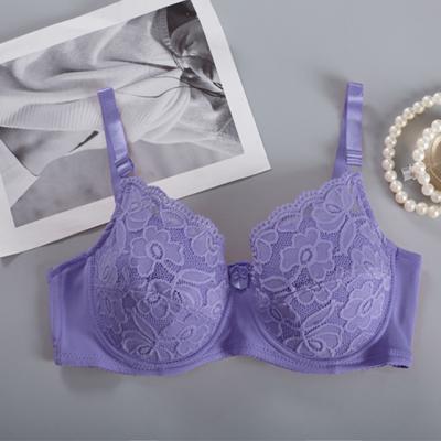 China Women Sexy Bra Underwear Girl Comfort Seamless Seamless Embroidered Plus Size Bra for sale