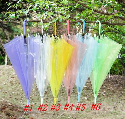 China Clear Transparent Hanging Rain Umbrella PVC Rain Dome Bubble Rain Sun Shade Long Handle Straight Stick Umbrella for sale