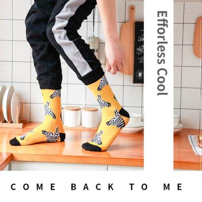 China New winter QUICK DRY wholesale spring stocking sports sock cotton design thongs trend pattern fashion men's stockings for sale