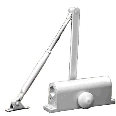 China Automatic Aluminum Glass Door Closer Long Modern Magnetic Hydraulic Hinges for sale