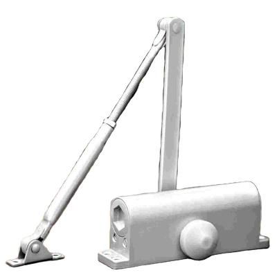 China Modern Universal Magnetic Concealed Aluminum Spring Glass Door Closer for sale