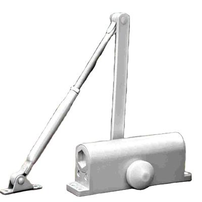 China Modern Fit Heavy Duty Concealed Automatic Aluminum Sliding Door Closer for sale