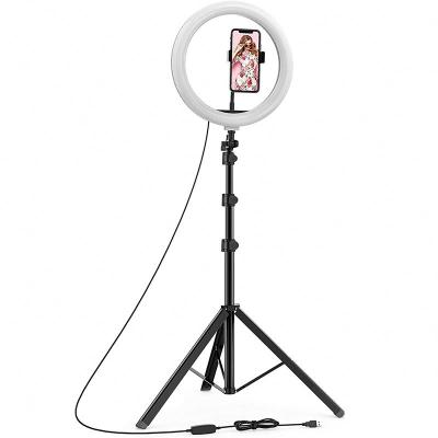 China 2021 PORTABLE led ring light 12 inch universal beauty clip light for phablet for sale